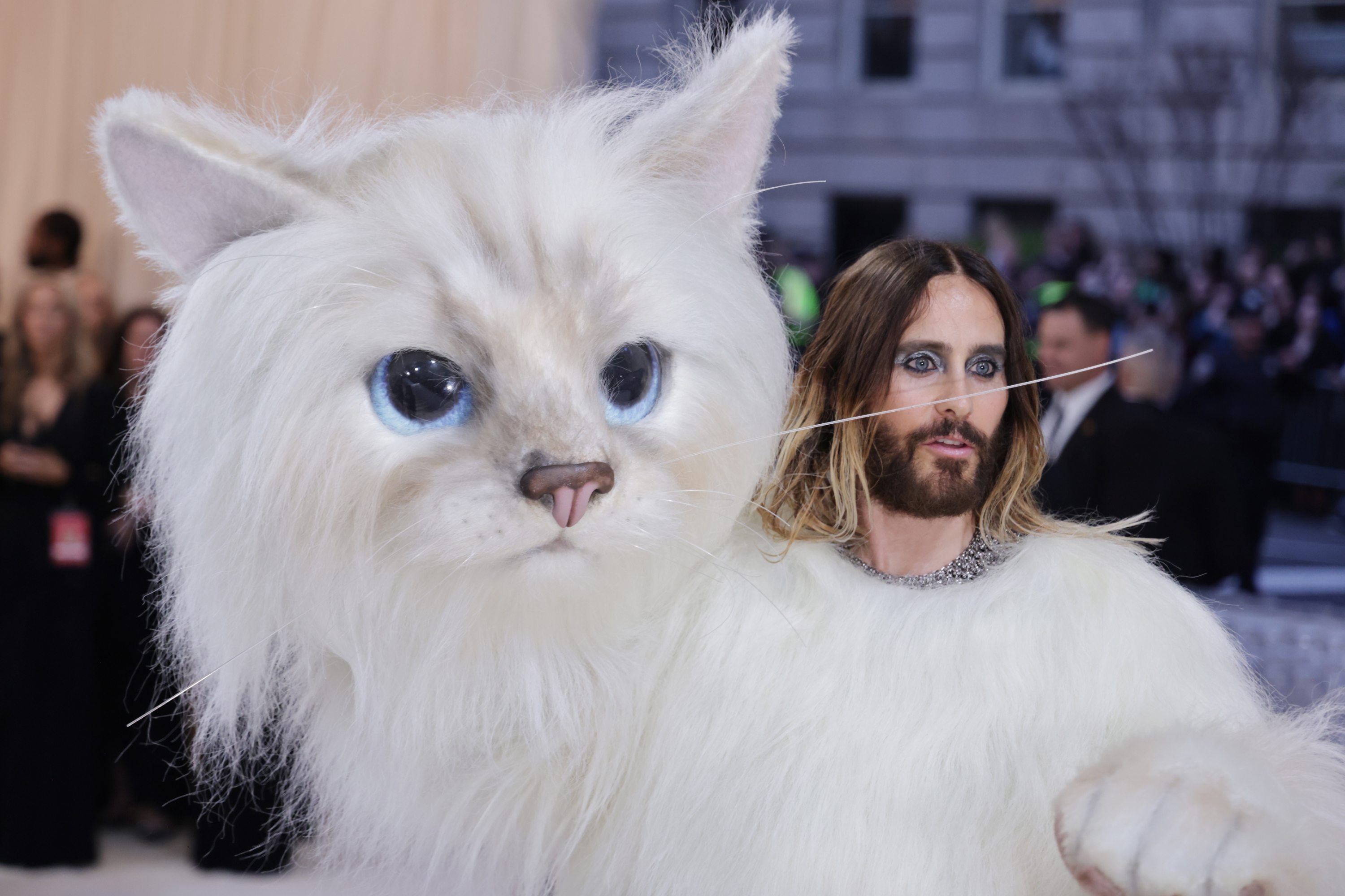 Así es la vida de lujo de la gata de Karl Lagerfeld, a la que dejó su herencia de 200 millones