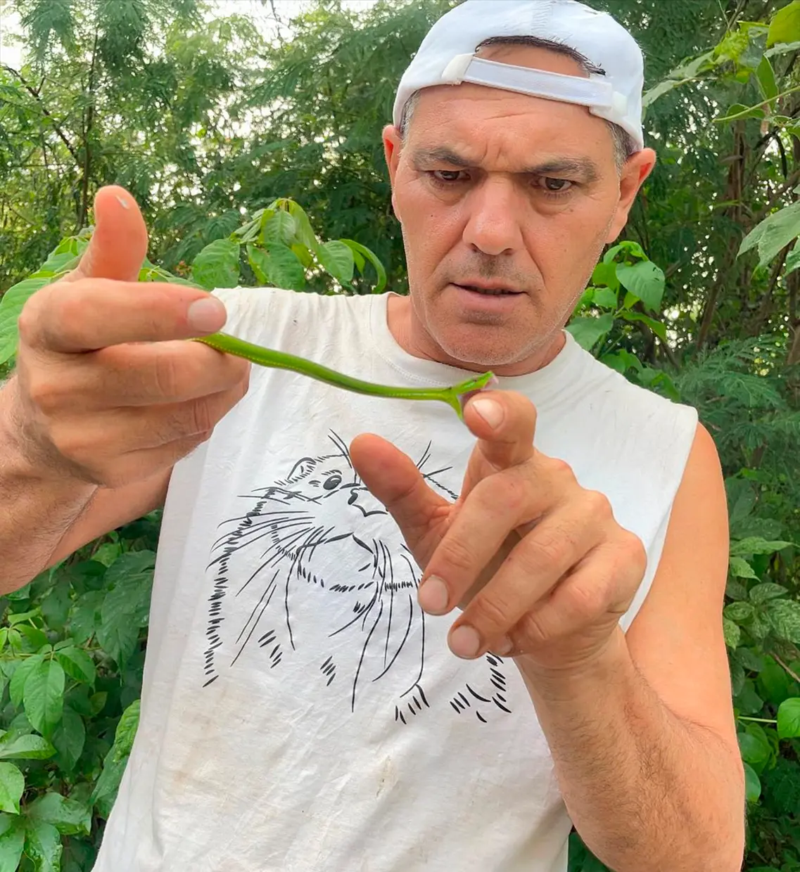 Frank Cuesta mordido por una pequeña serpiente verde.