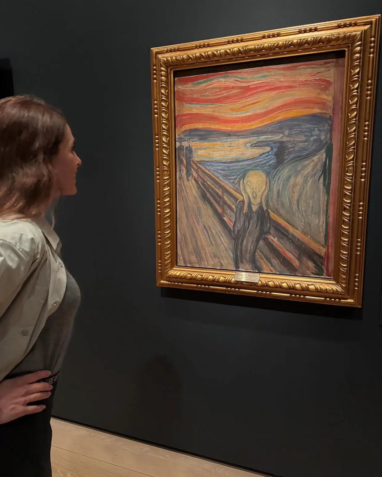 Raquel Sánchez Silva en un museo viendo el famoso cuadro El grito de Munch