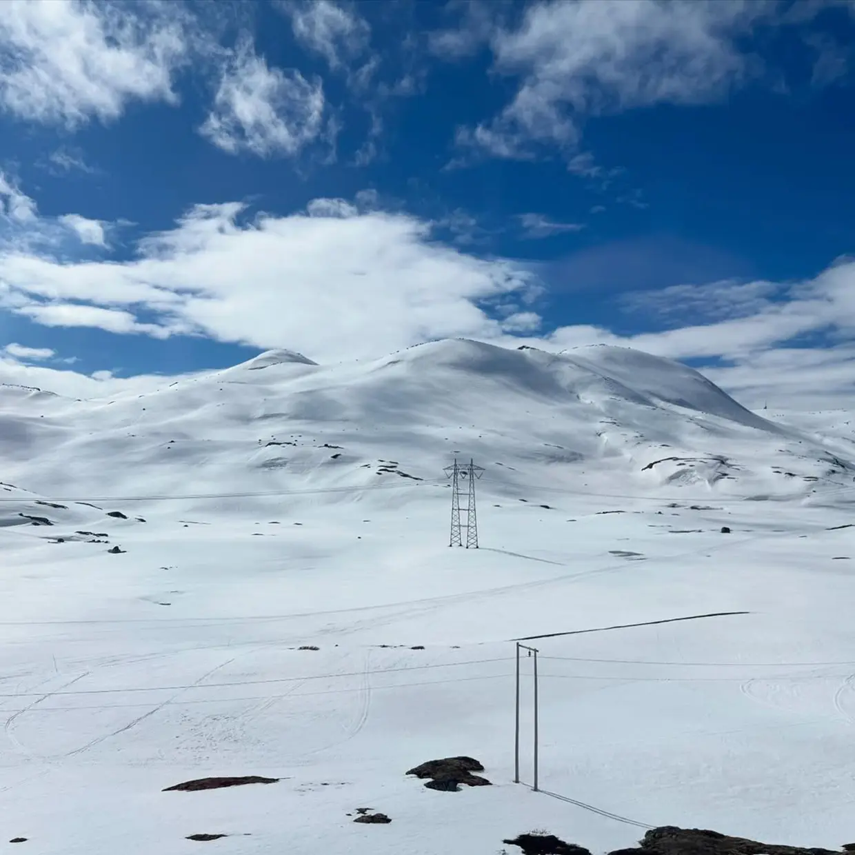 nieve nórdica