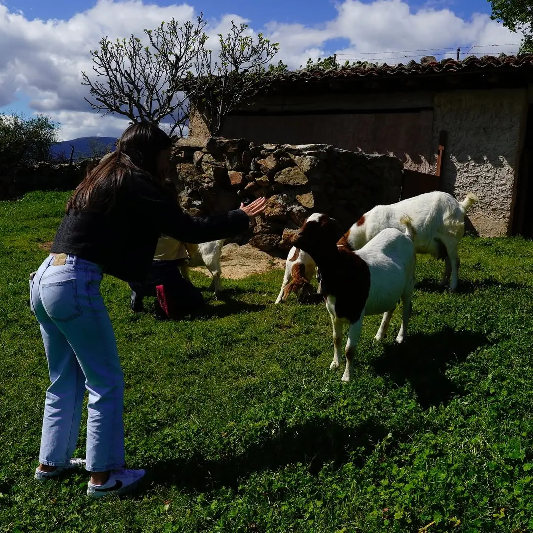 David Bisbal disfruta de un magnífico día en familia en una granja.