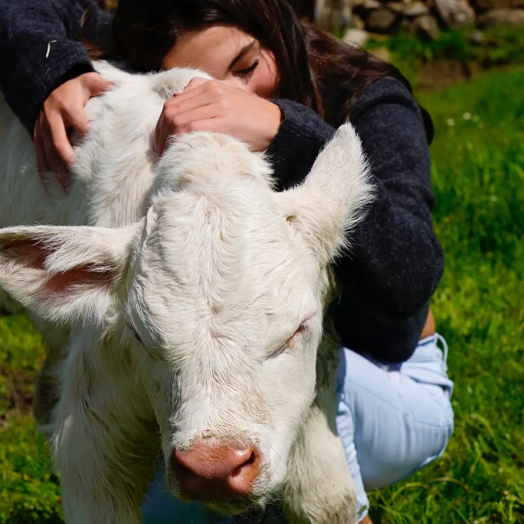 David Bisbal disfruta de un magnífico día en familia en una granja.