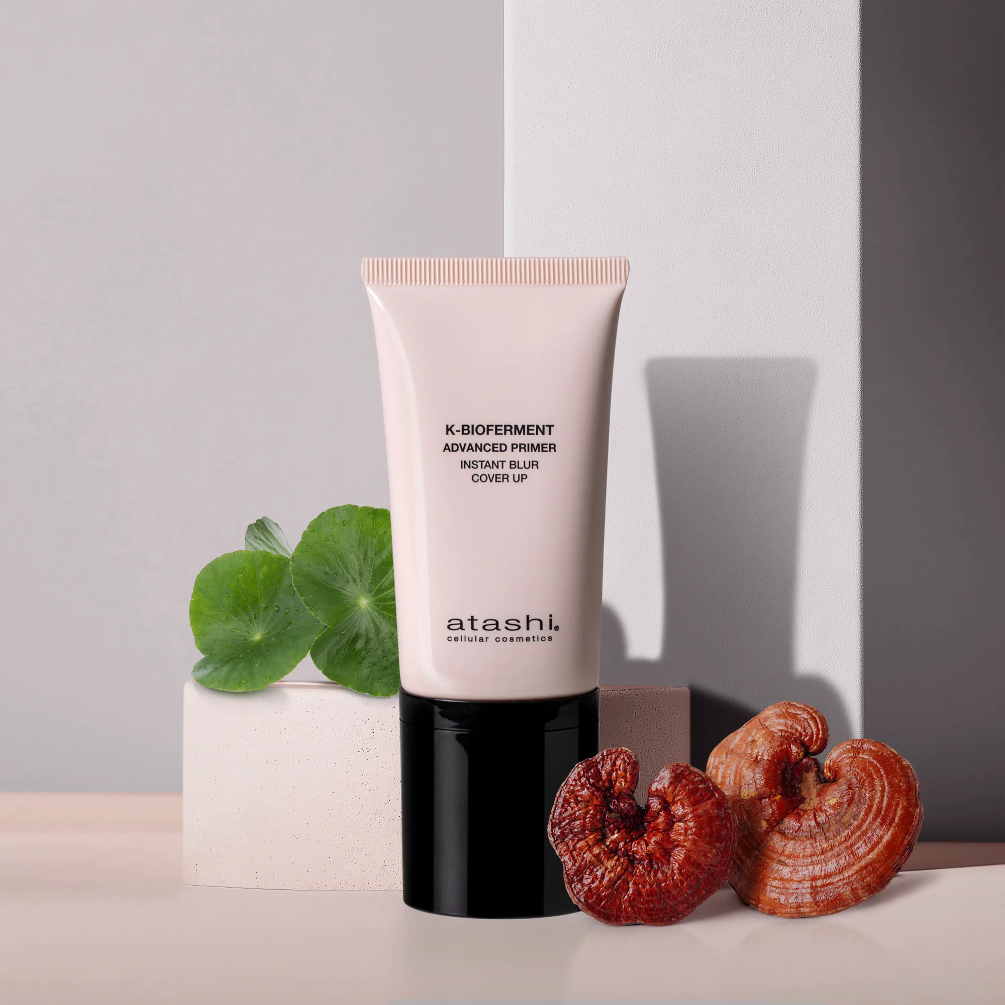 BC ATASHI LANZAMIENTO productos y modelo