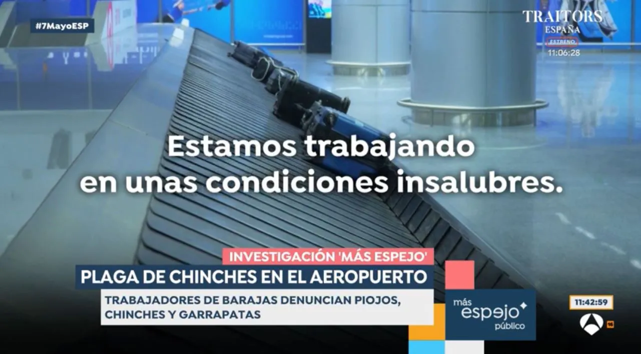 En 'Espejo público' hablan de la plaga de insectos en el aeropuerto de Madrid.