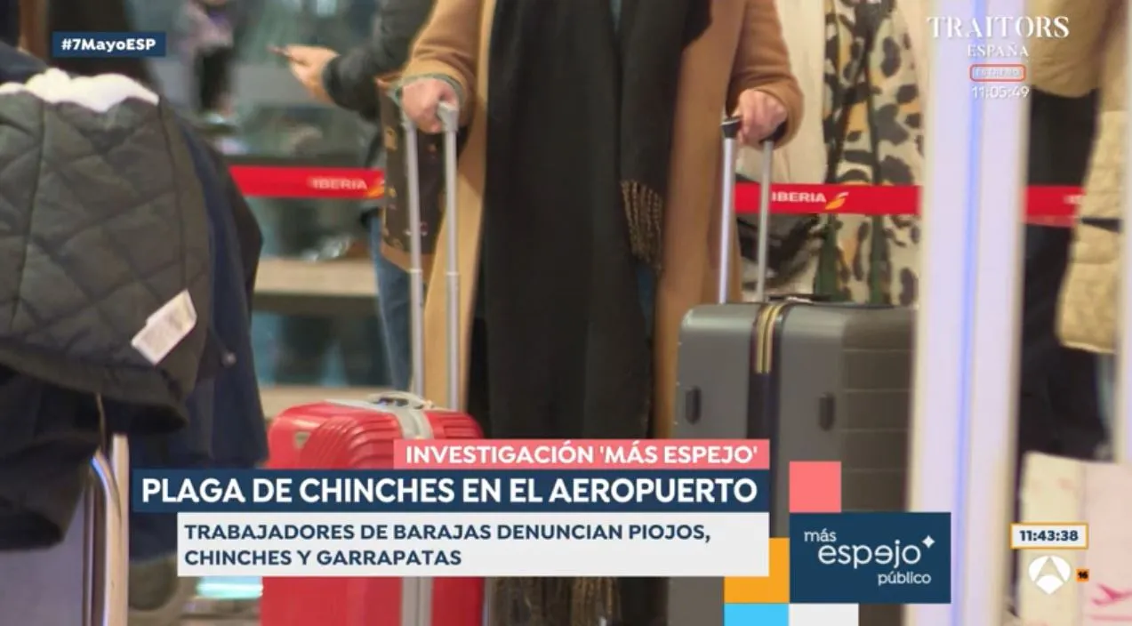 En 'Espejo público' hablan de la plaga de insectos en el aeropuerto de Madrid.
