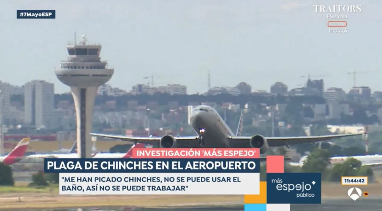 En 'Espejo público' hablan de la plaga de insectos en el aeropuerto de Madrid.