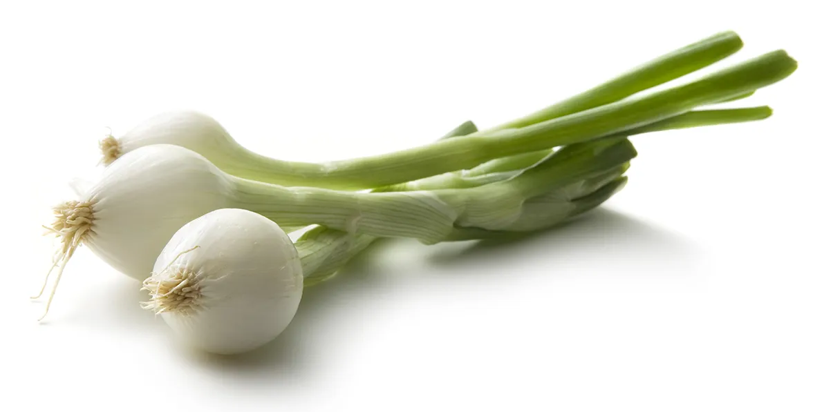 Cebollas