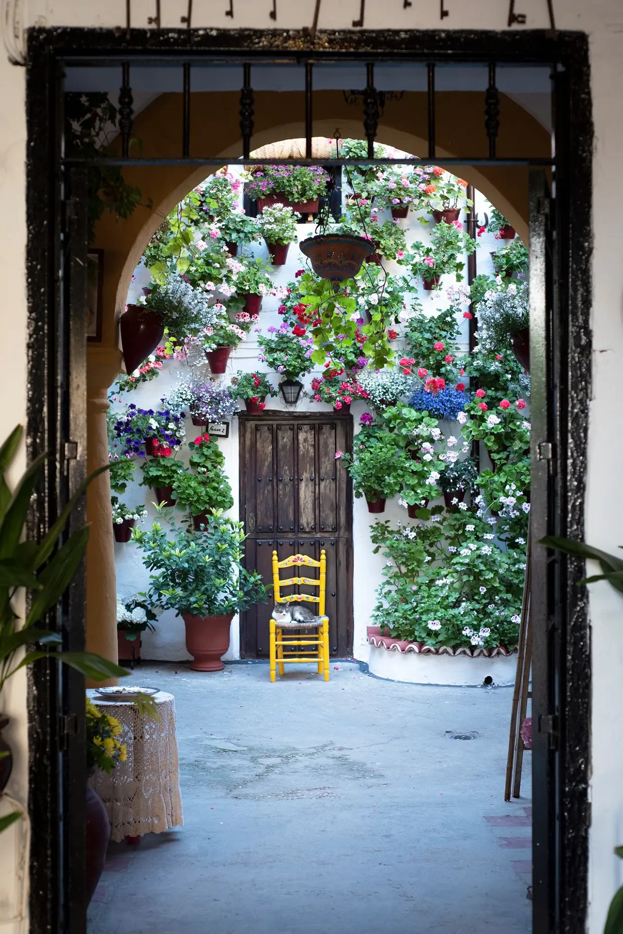 El patio de San Basilio, 14 se ha convertido, para muchos, en la primera parada de este colorido "tour" cordobés.