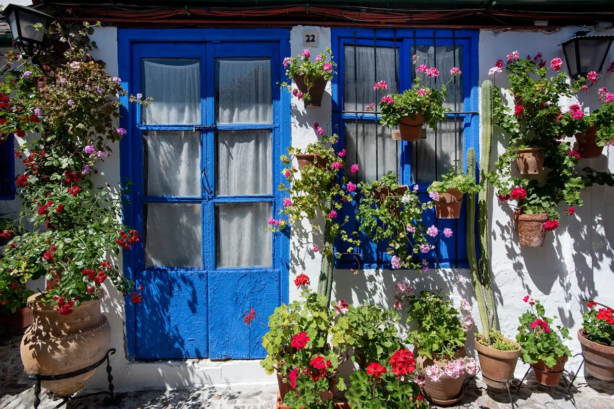 La pintura azul llena de color este rincón del popular patio de Marroquíes, 6, uno de los ganadores del concurso de 2024.