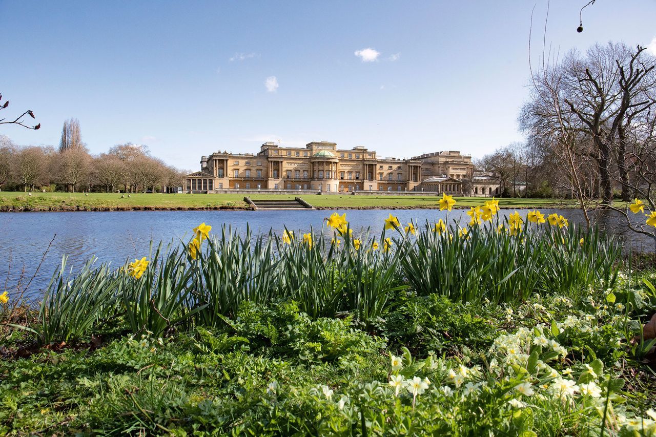Así son los jardines secretos del Palacio de Buckingham: 16 hectáreas y una especie única de la Corona