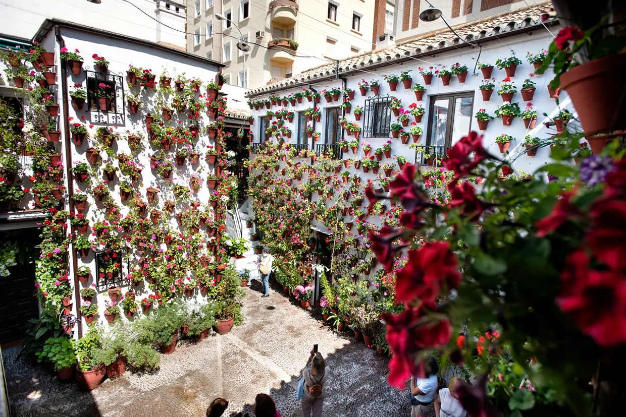 El patio de Martín de Roa, 9 hipnotiza con sus macetas de gitanillas.