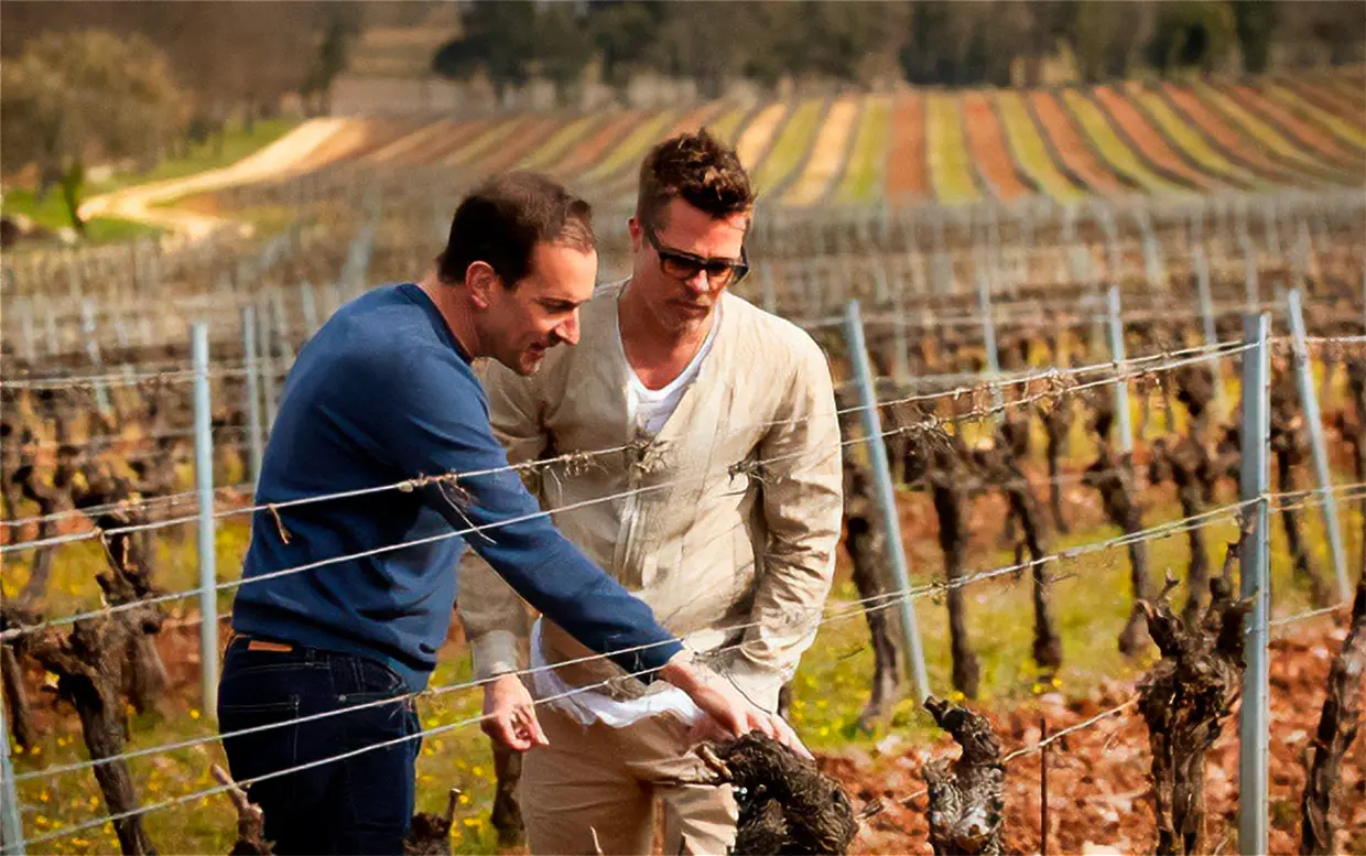 BRAD PITT, que antes de su ruptura compró con Angelina Jolie un castillo y unos viñedos en Francia, produce un rosado exquisito.