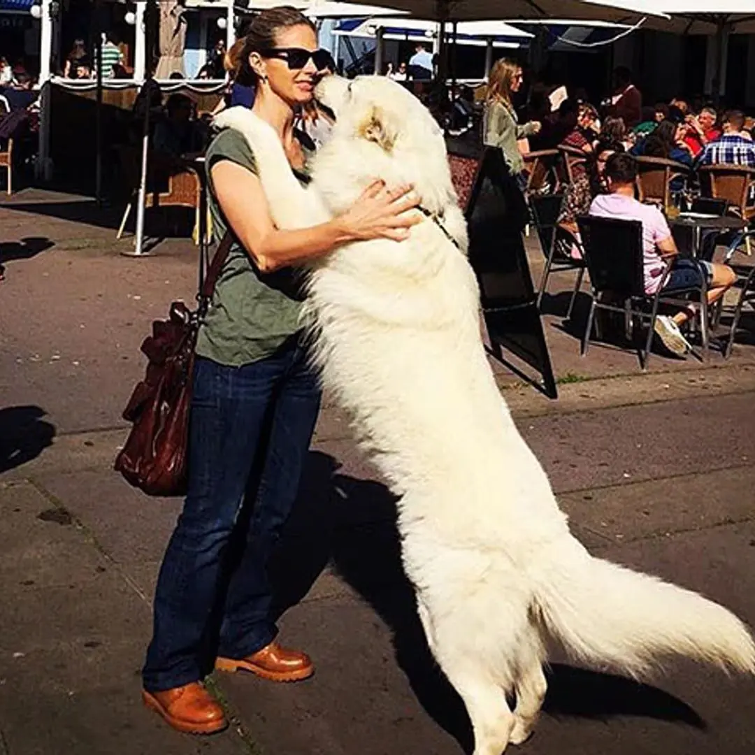 Genoveva Casanova con sus perritos