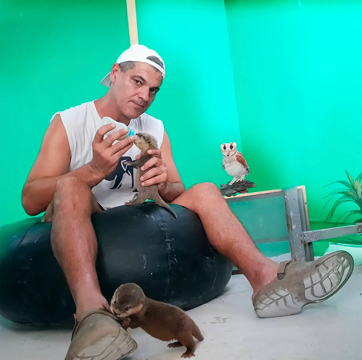 Frank Cuesta cuidando de unas nutrias en su santuario.