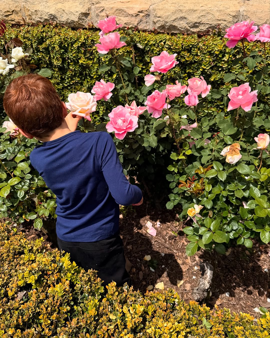 Archie, hijo de Harry y Meghan, ha recibido una inesperada visita a los 6 años