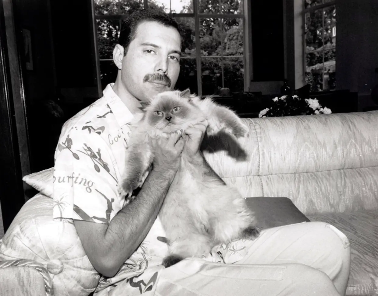 Freddie Mercury posa agarrando a su gato.