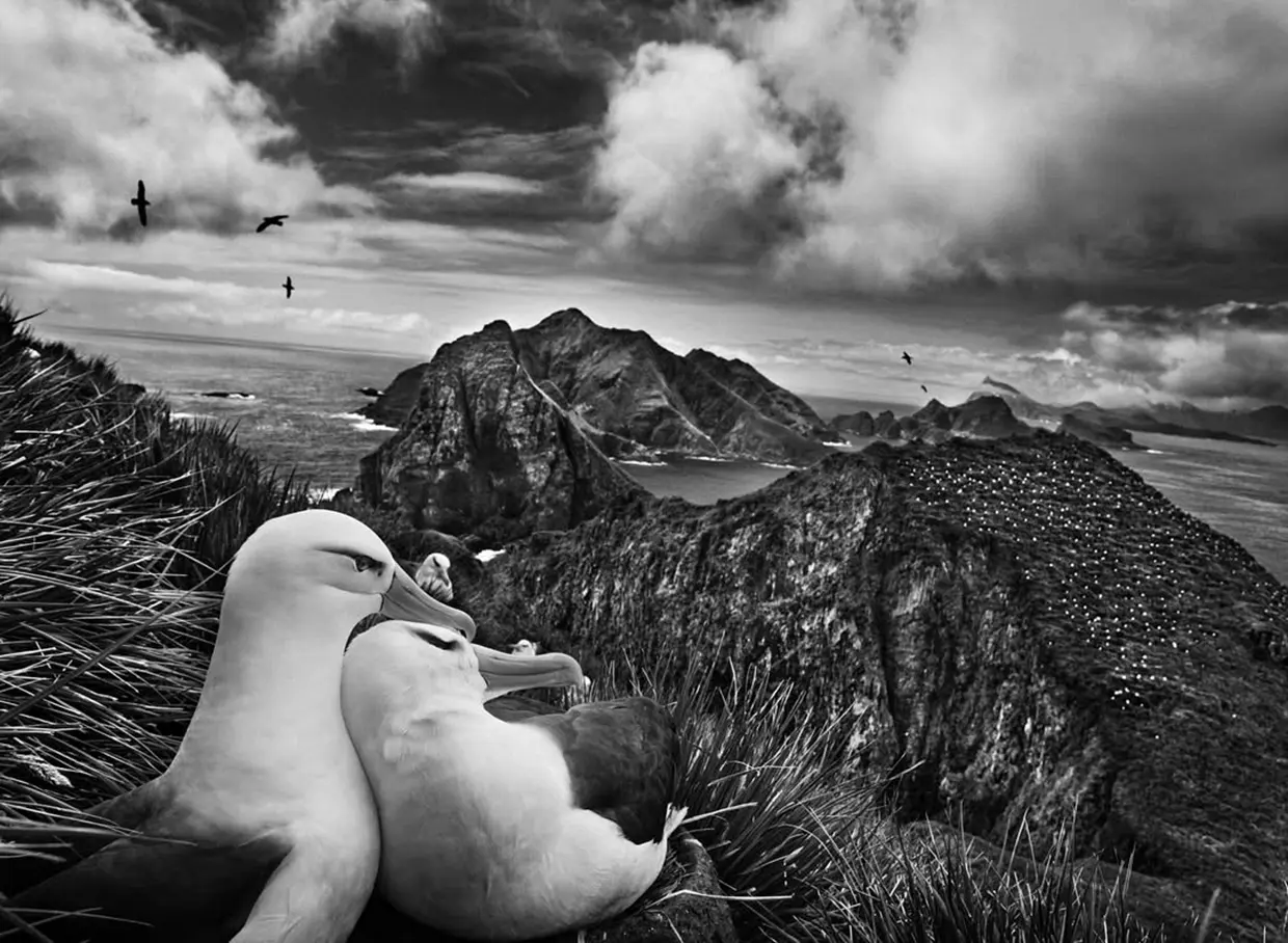 Fotos de Sebastiao Salgado