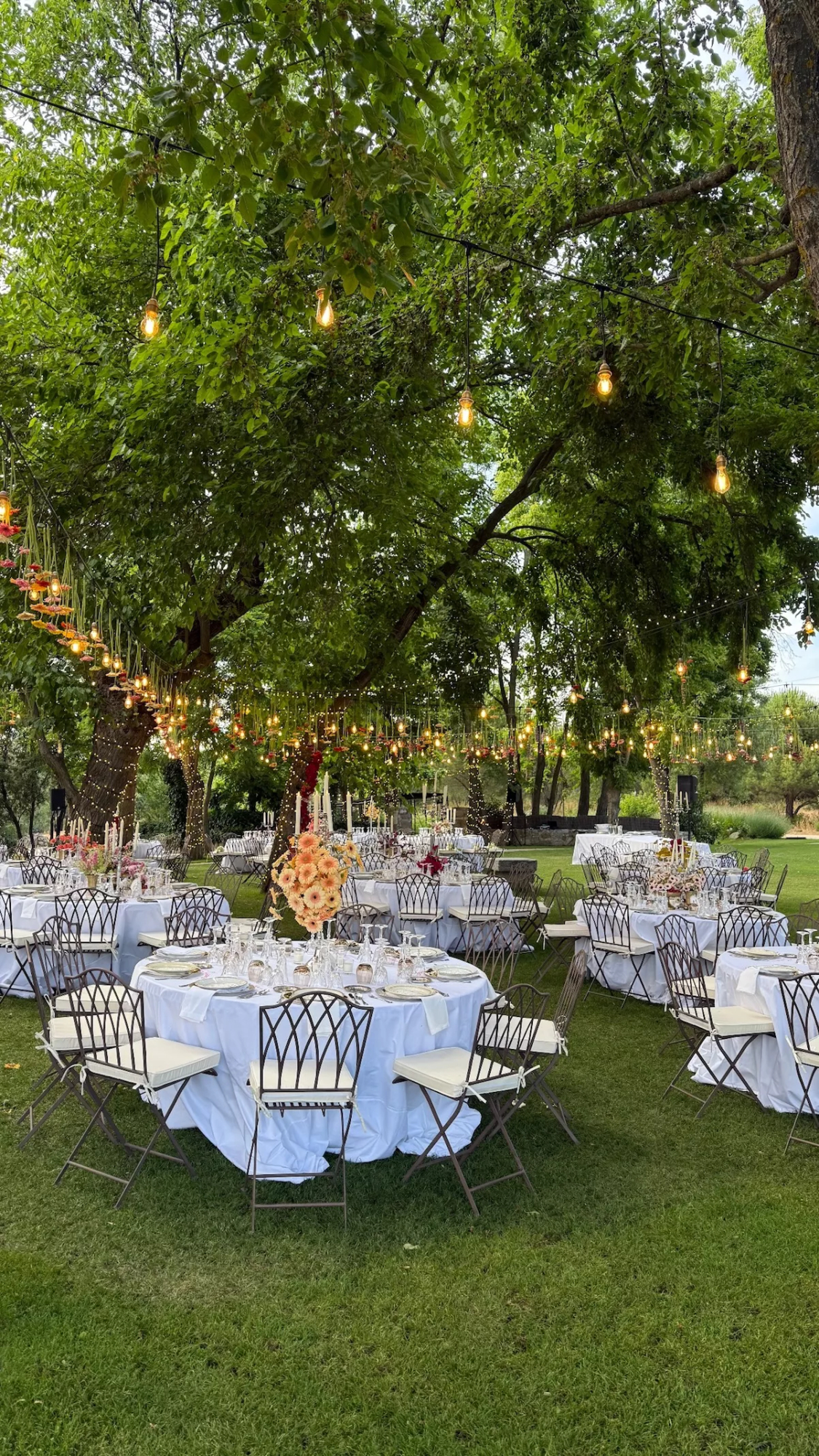 Jardín en la boda de Susana Bicho