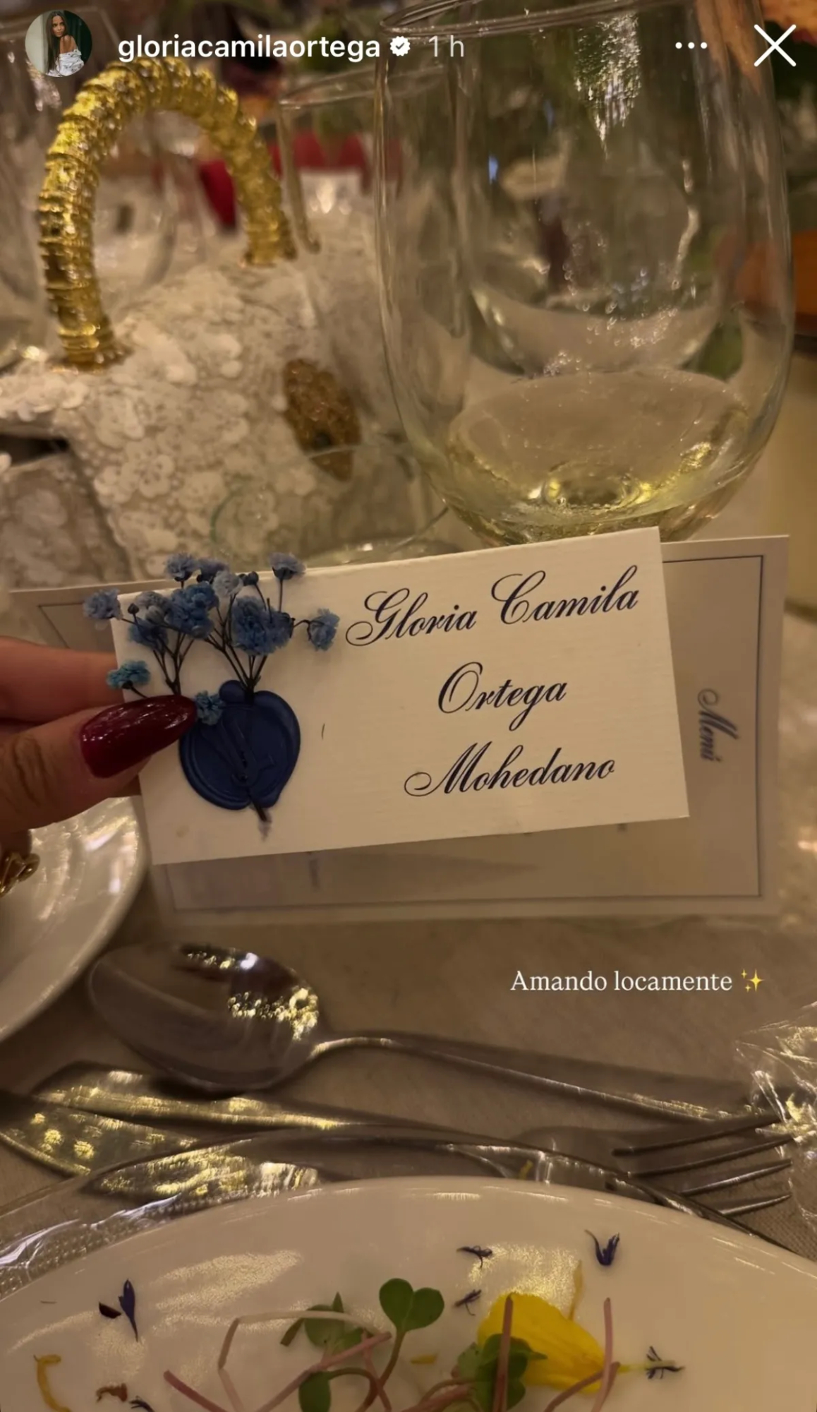 Redes sociales de Gloria Camila