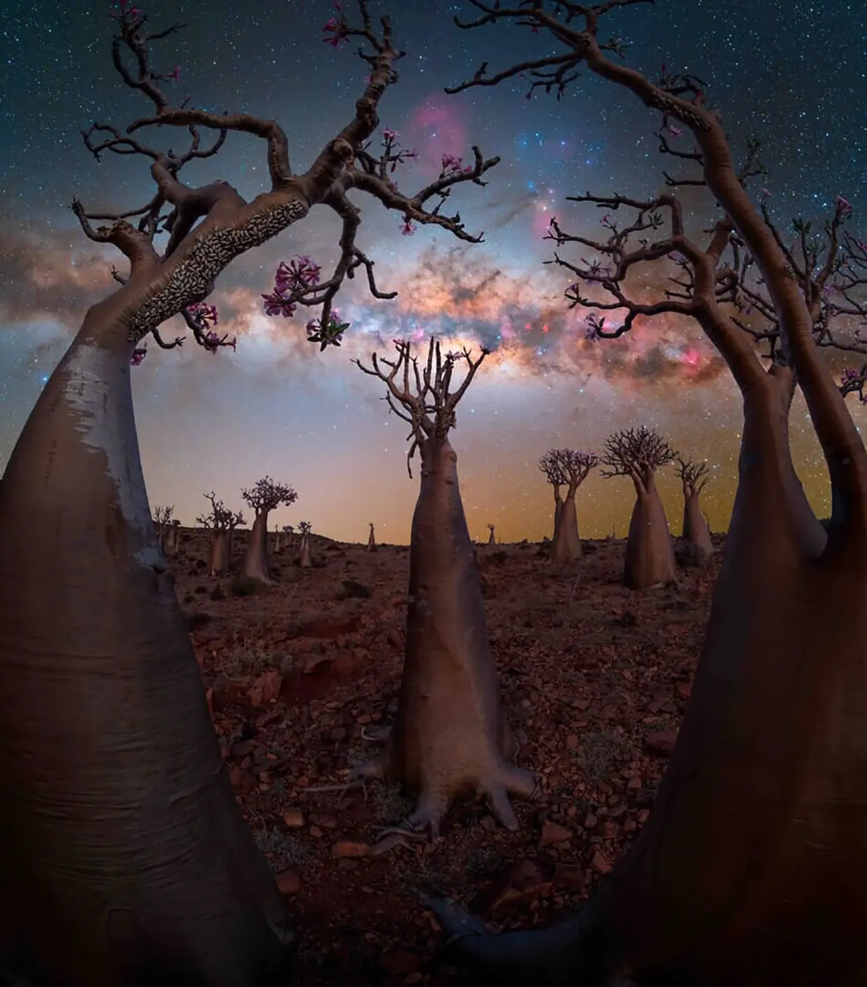 Vista de la Via Láctea desde Socotra, Yemen