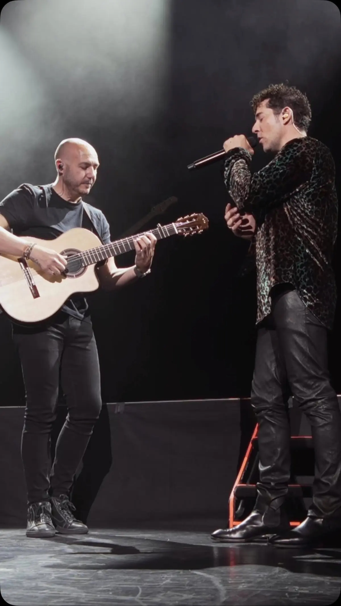 David Bisbal en concierto