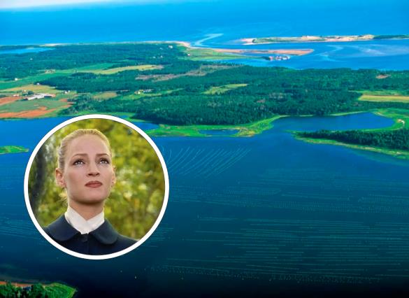 Las islas de los famosos