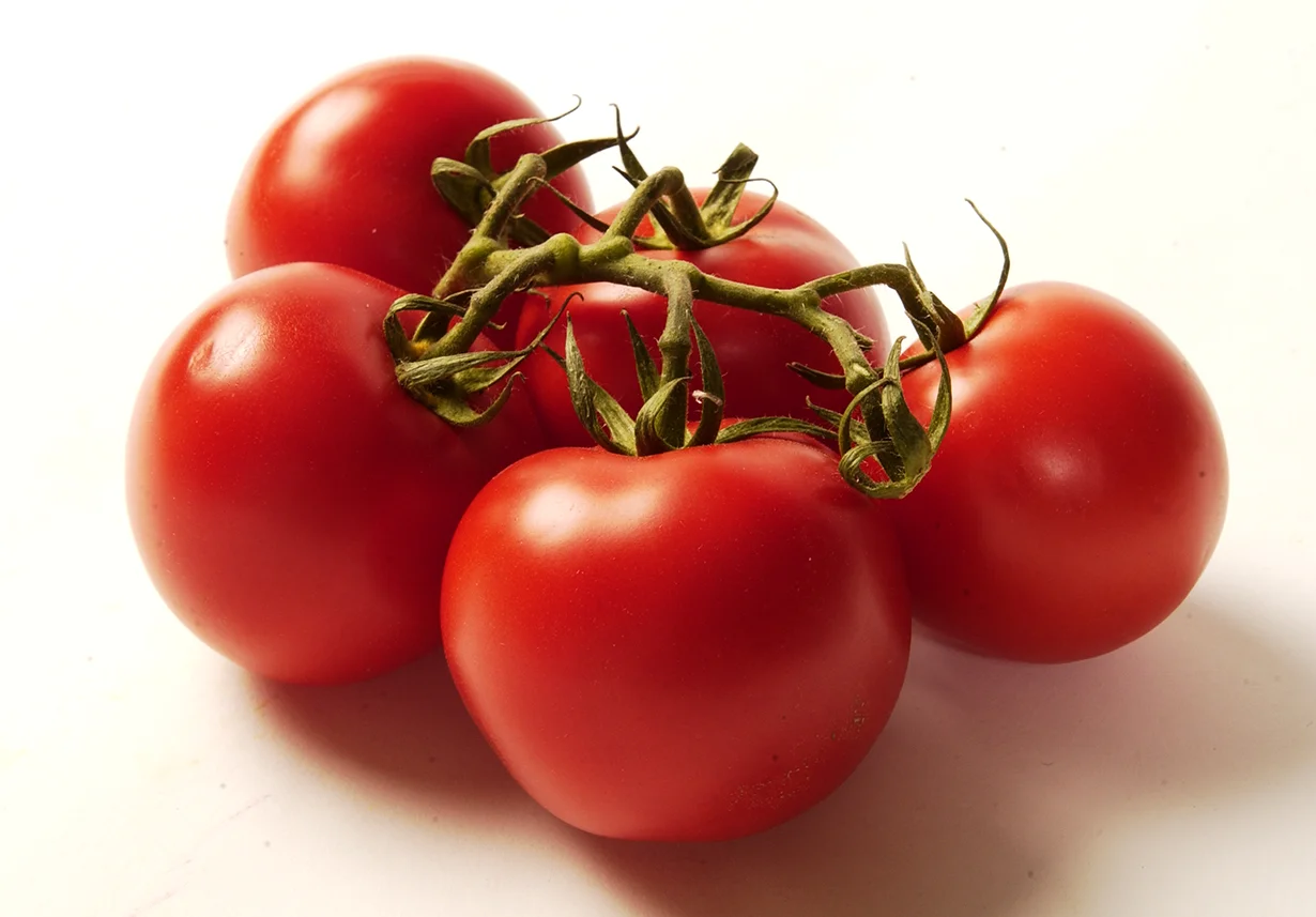 Tomates Maduros
