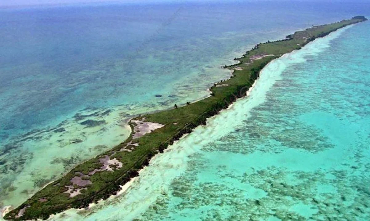 Blackadore Caye, la isla privada de Leonardo DiCaprio.