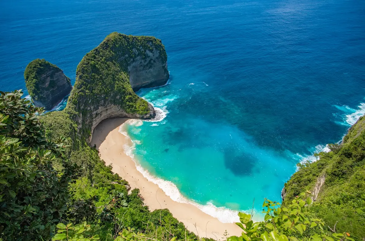 KELINGKING (Indonesia)