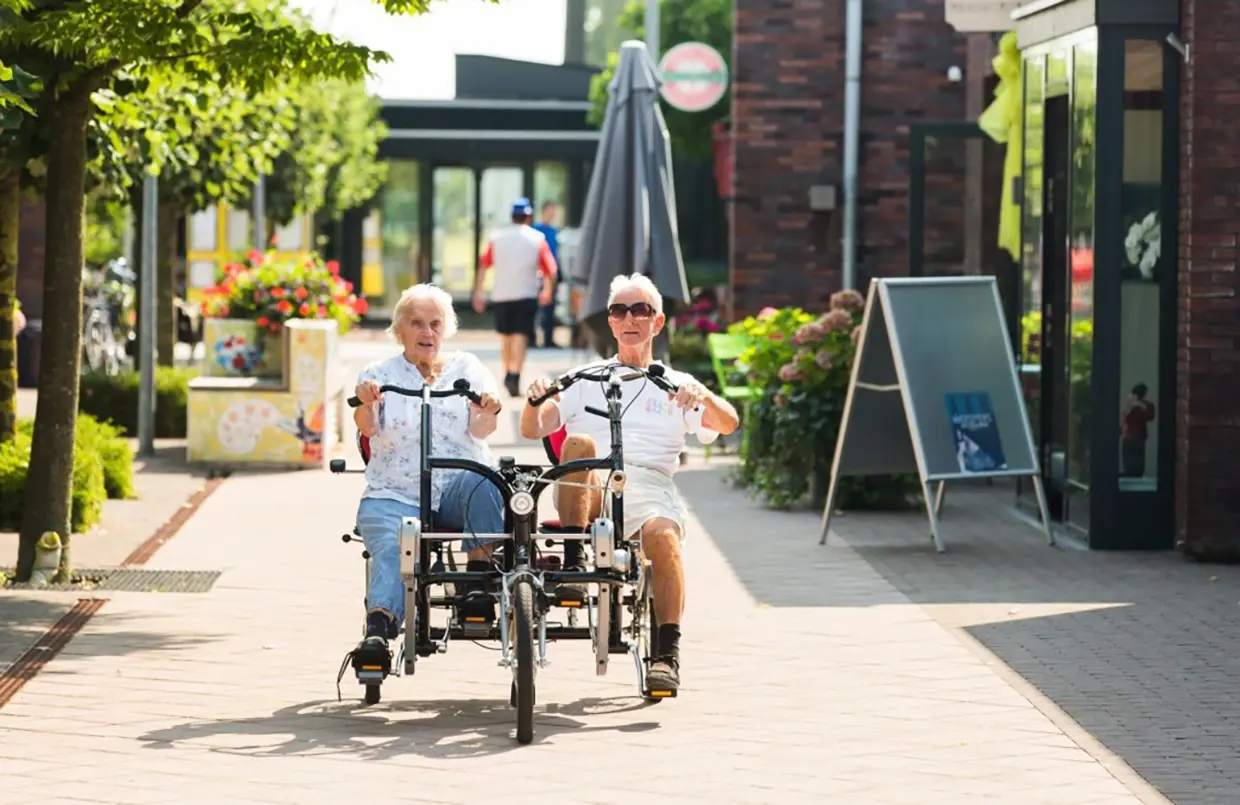 Dementia Villages del mundo