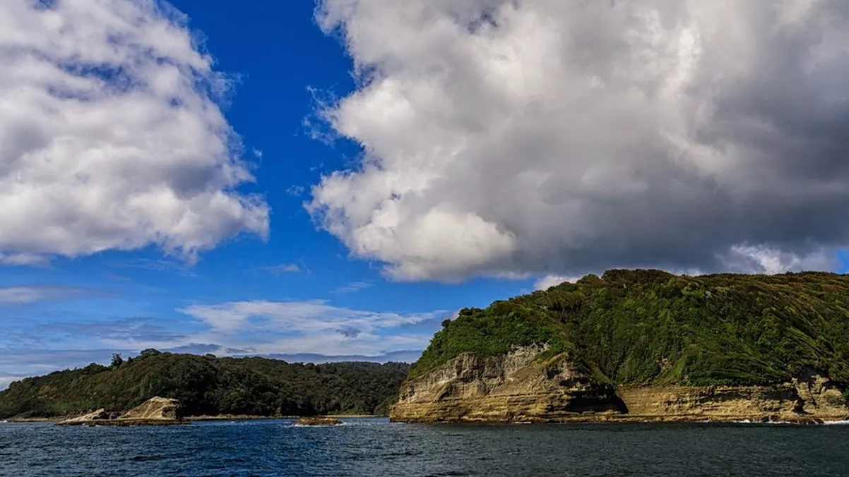 Isla Guafo Leonardo DiCaprio