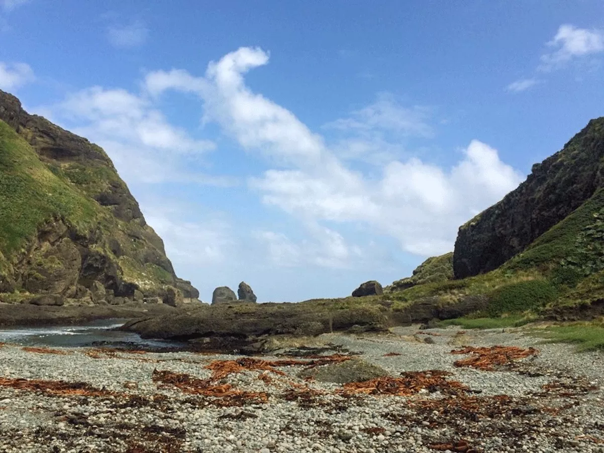 Isla Guafo Leonardo DiCaprio