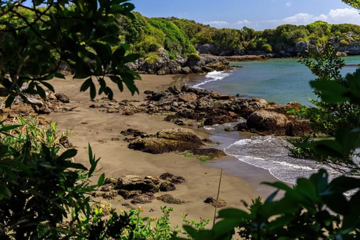 Isla Guafo Leonardo DiCaprio