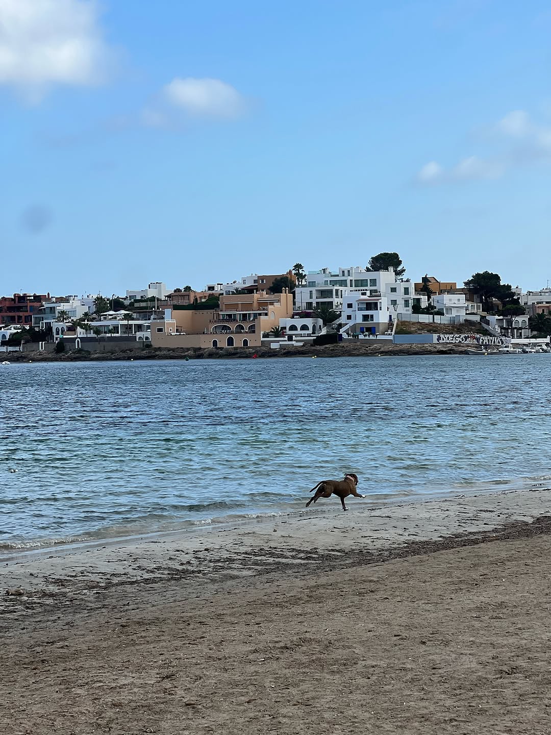 Las vacaciones en Ibiza de Alejandra Rubio y Carlo Costanzia.