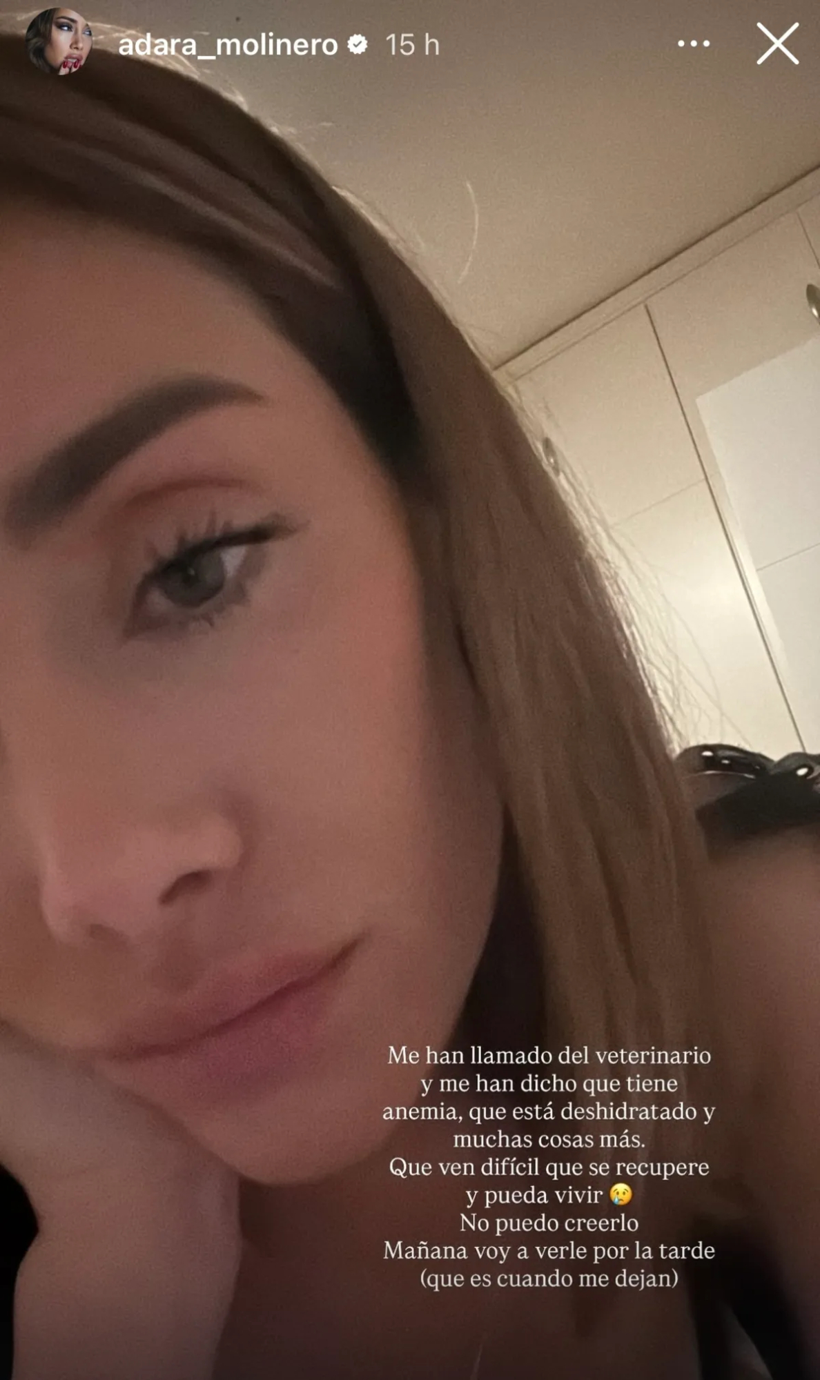 Redes sociales de Adara Molinero
