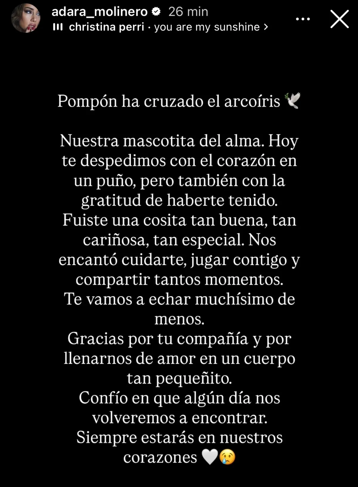Redes sociales de Adara Molinero