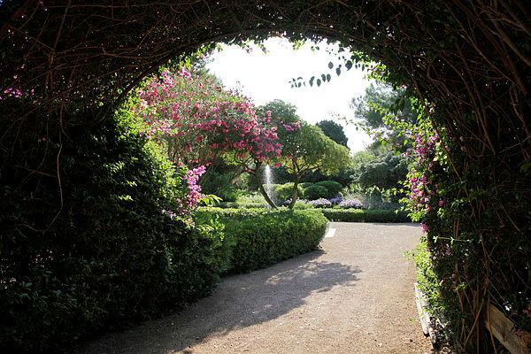 Jardines del Palacio de Marivent.