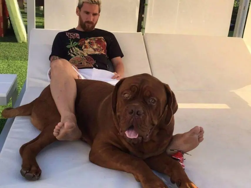 messi mansión