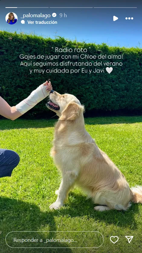 Paloma Lago comparte en stories una imagen de su perra y su brazo vendado