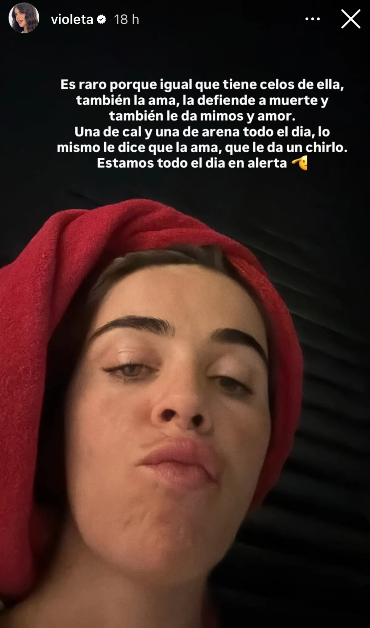 Redes sociales de Violeta Mangriñán