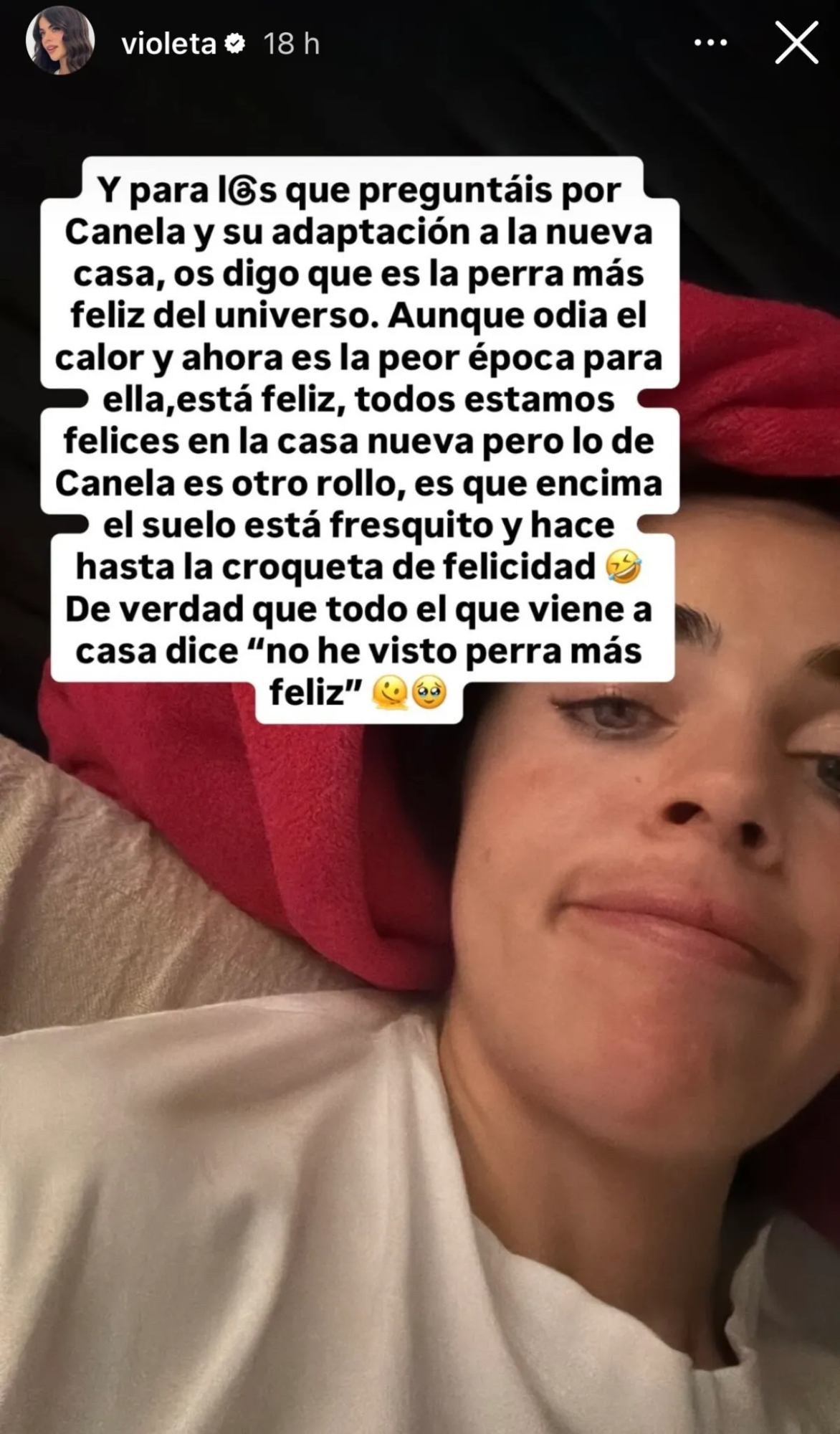 Redes sociales de Violeta Mangriñán