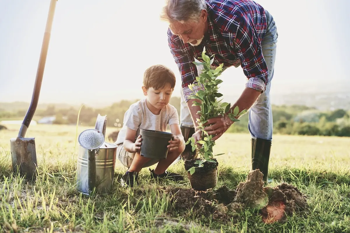 Nietos cuidar plantas