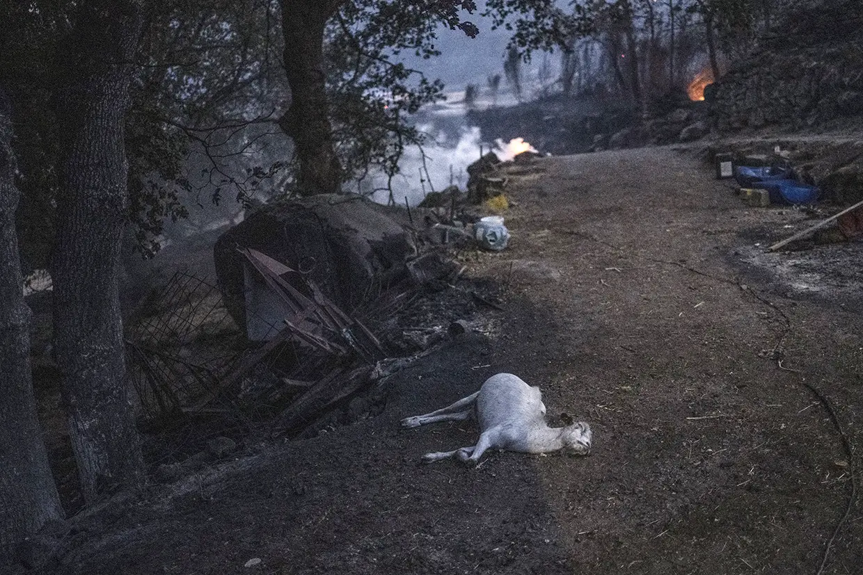 Incendios España