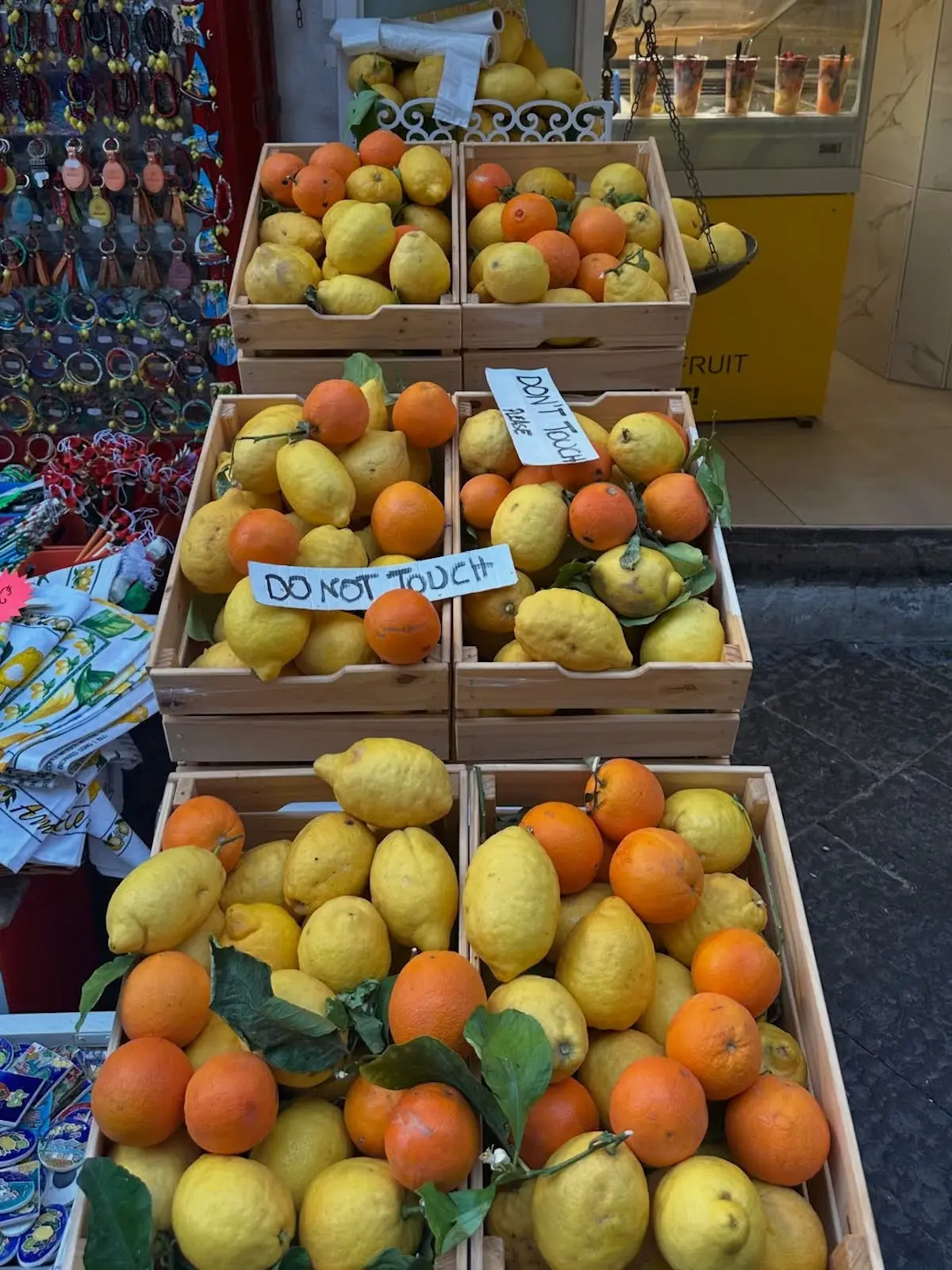 Limones y naranjas Mar Flores Costa Amalfitana