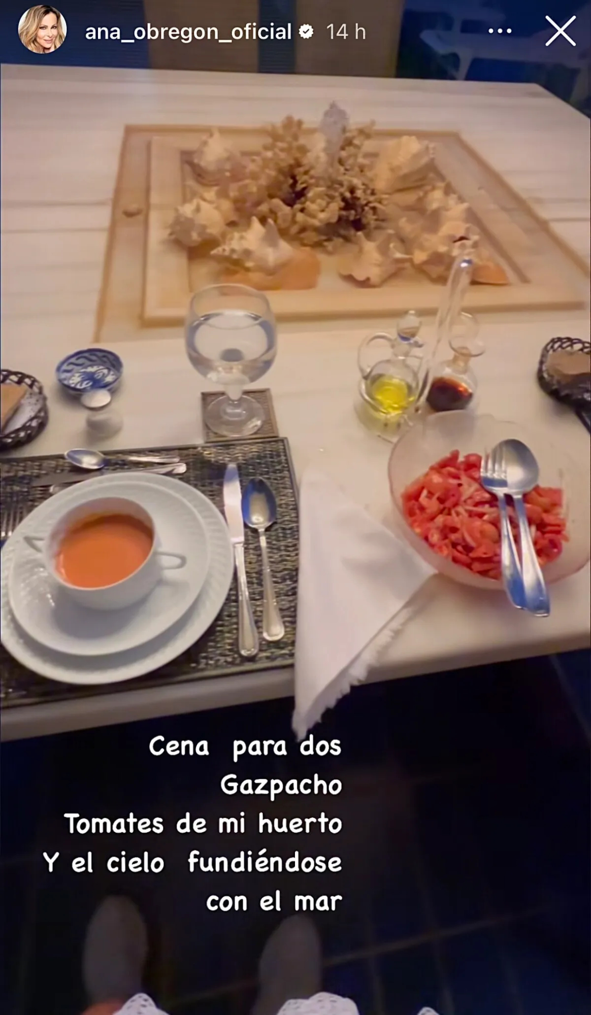 Redes sociales de Ana Obregón