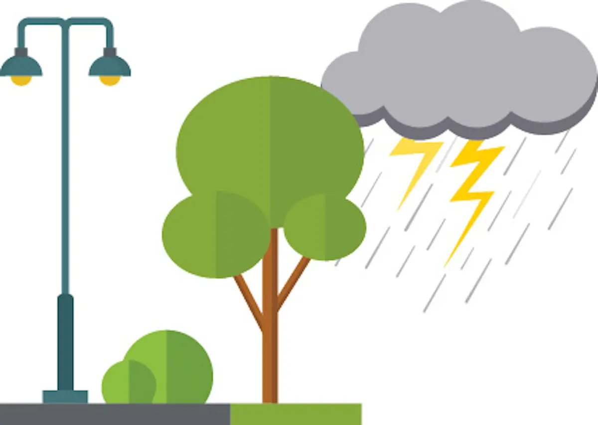 Árboles Tormenta eléctrica