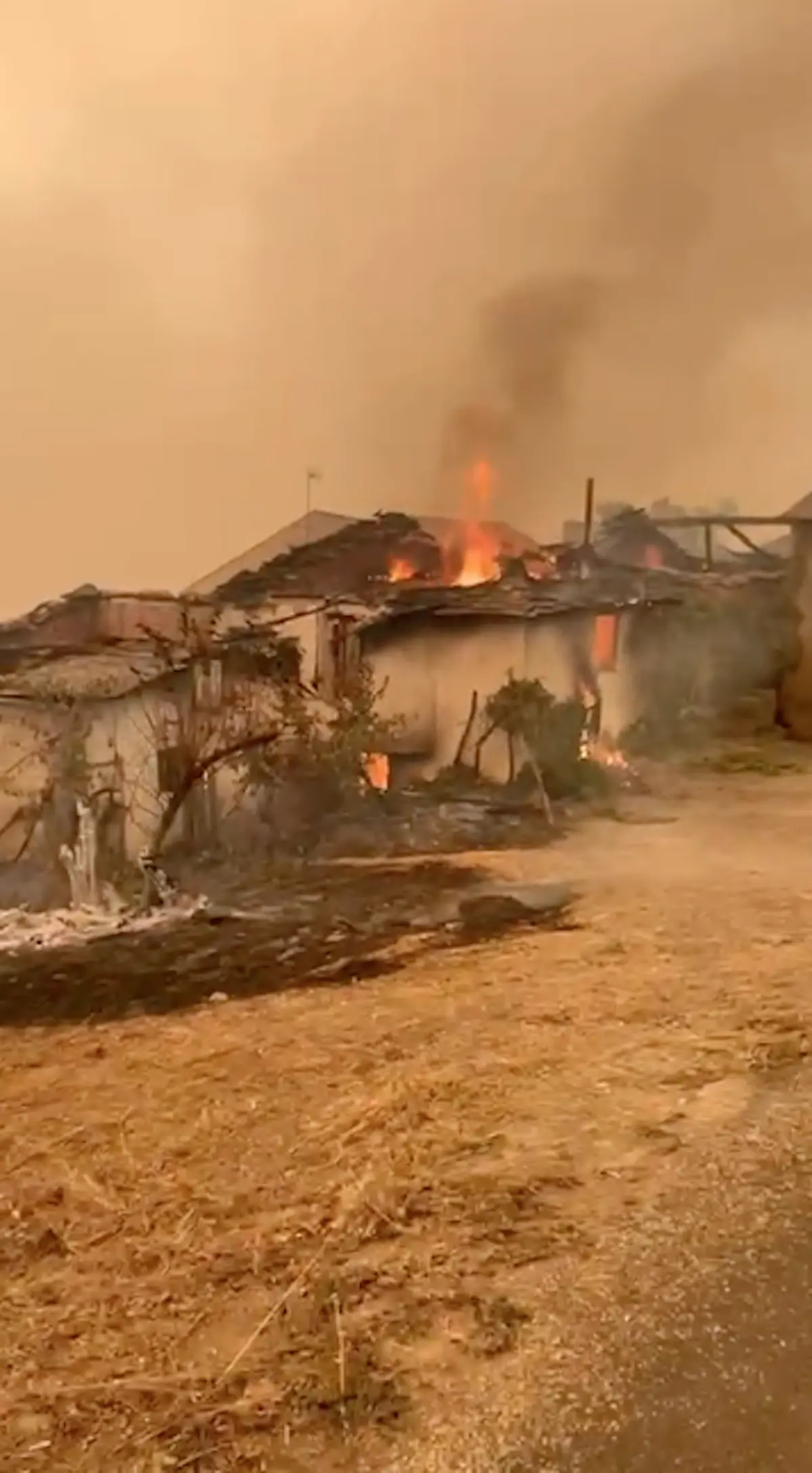 CERNEGO incendio