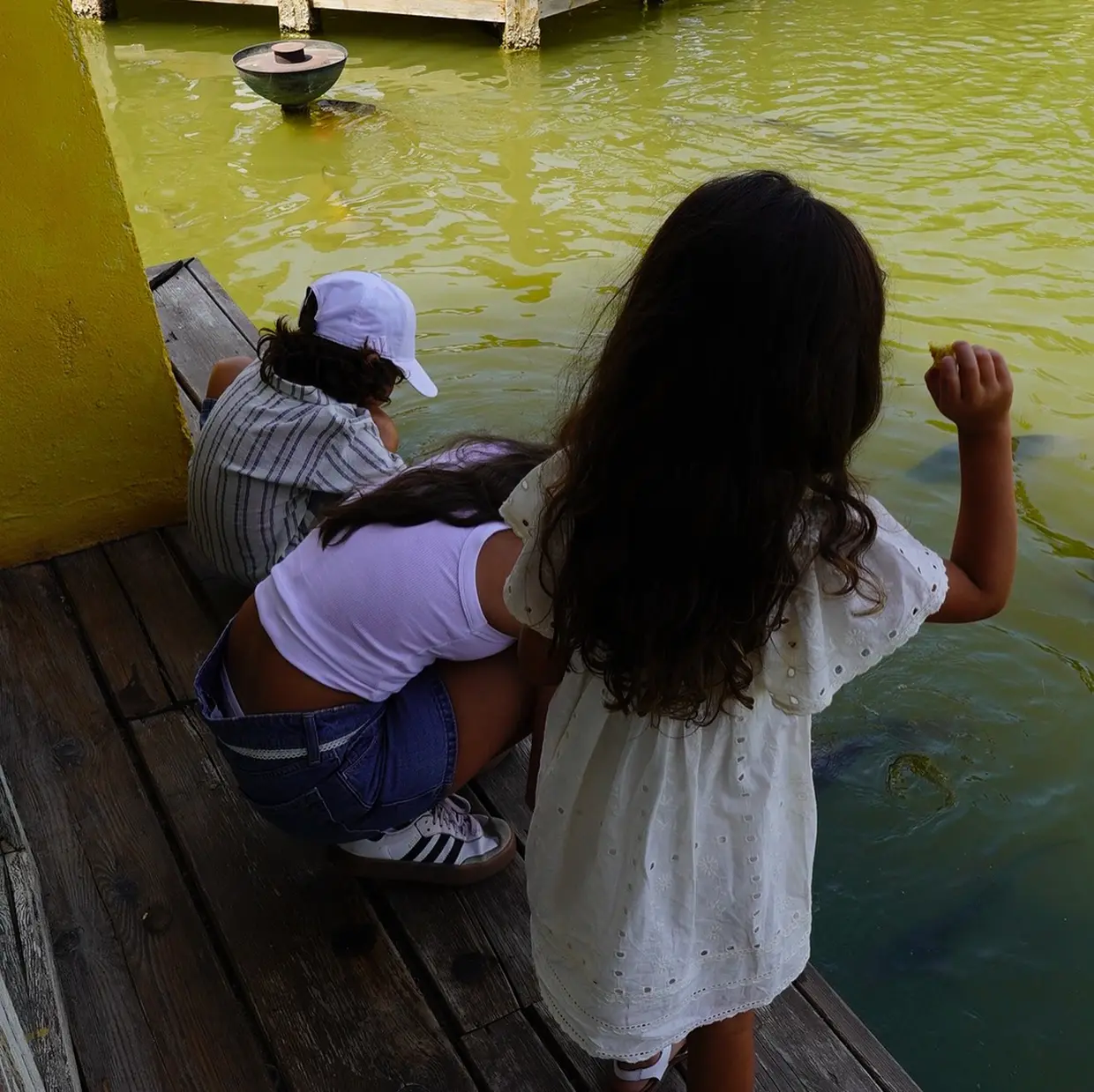Hijos de David Bisbal y Rosanna Zanetti dando de comer a los peces
