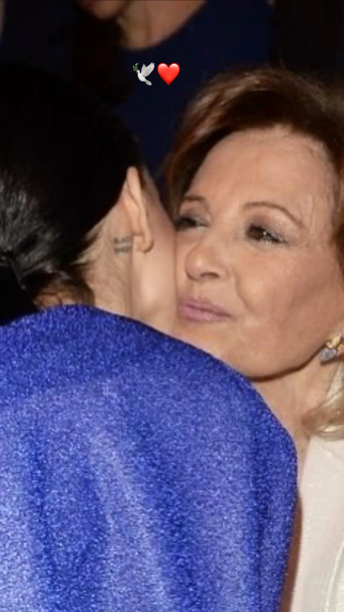alejandra rubio homenaje maria teresa campos