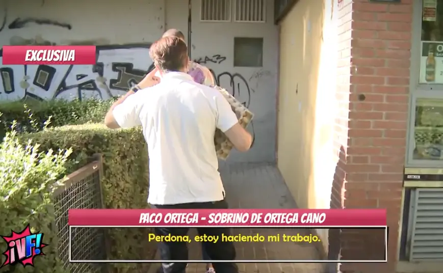 paco ortega sobrino ortega cano